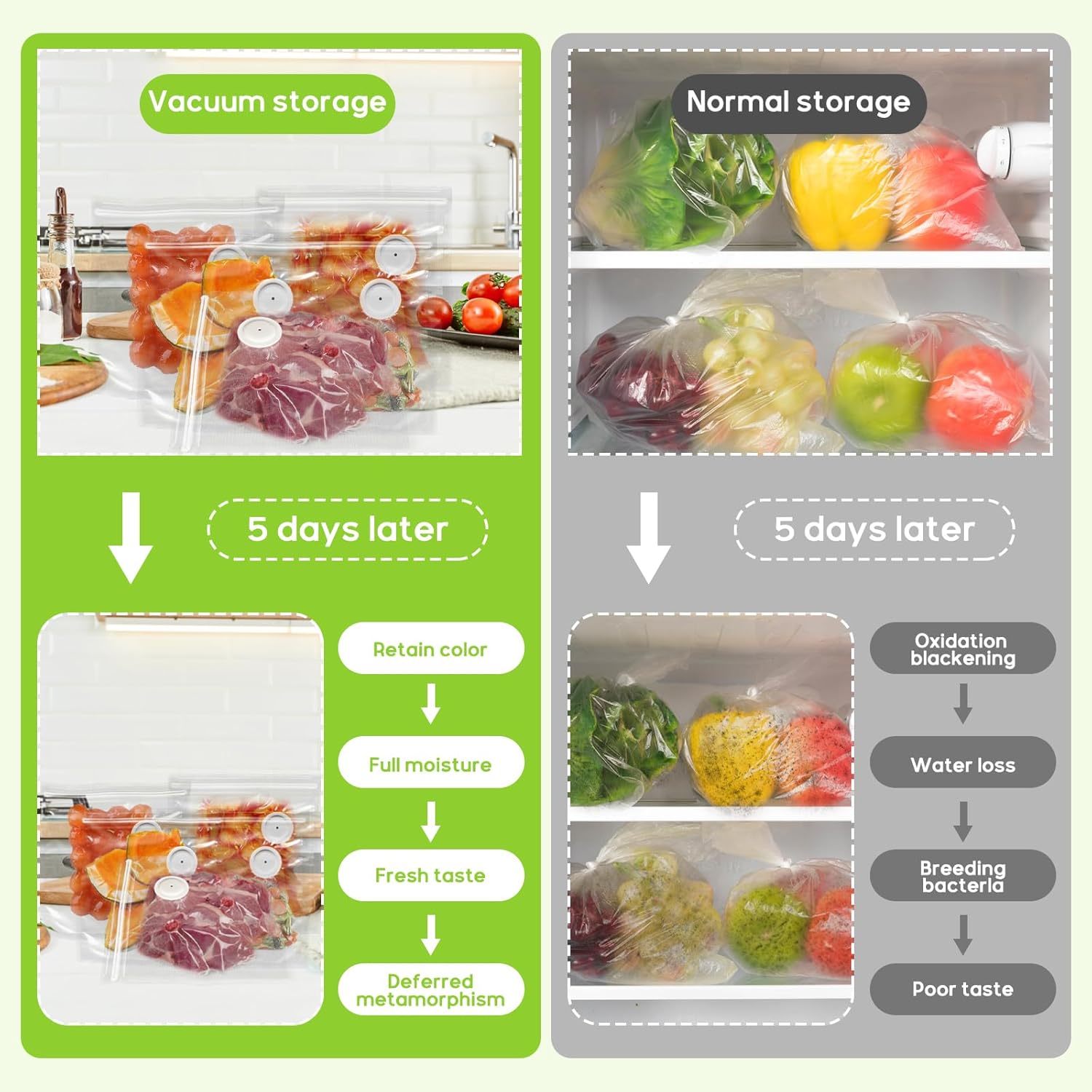Vakuumiergerät, tragbare Vakuu – Food Vacuum Sealer Machine Bewertung und Preis